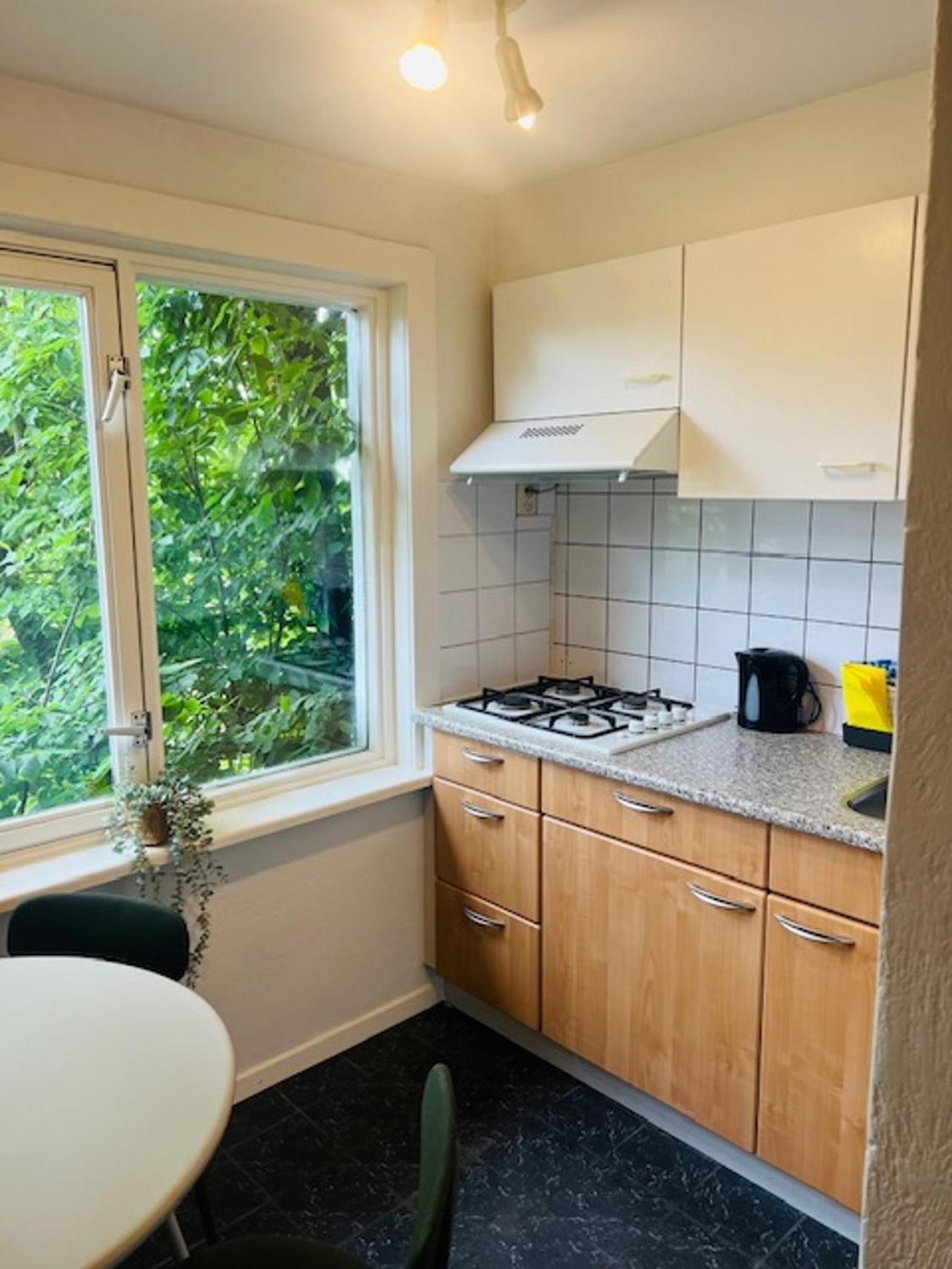4P Apt With Rooftop Terrace At Piushaven Centrum 튈뷔르흐 외부 사진